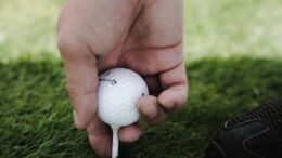 person holding golf ball