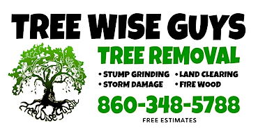 Tree Wise Guys ad